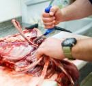 Ribbeins uttrekker i rustfritt stål thumbnail