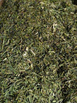 Dill - 250g