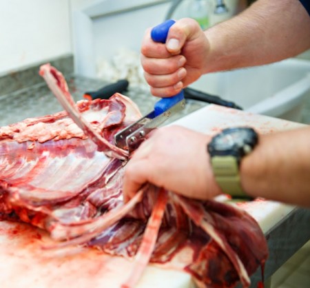 Ribbeins uttrekker